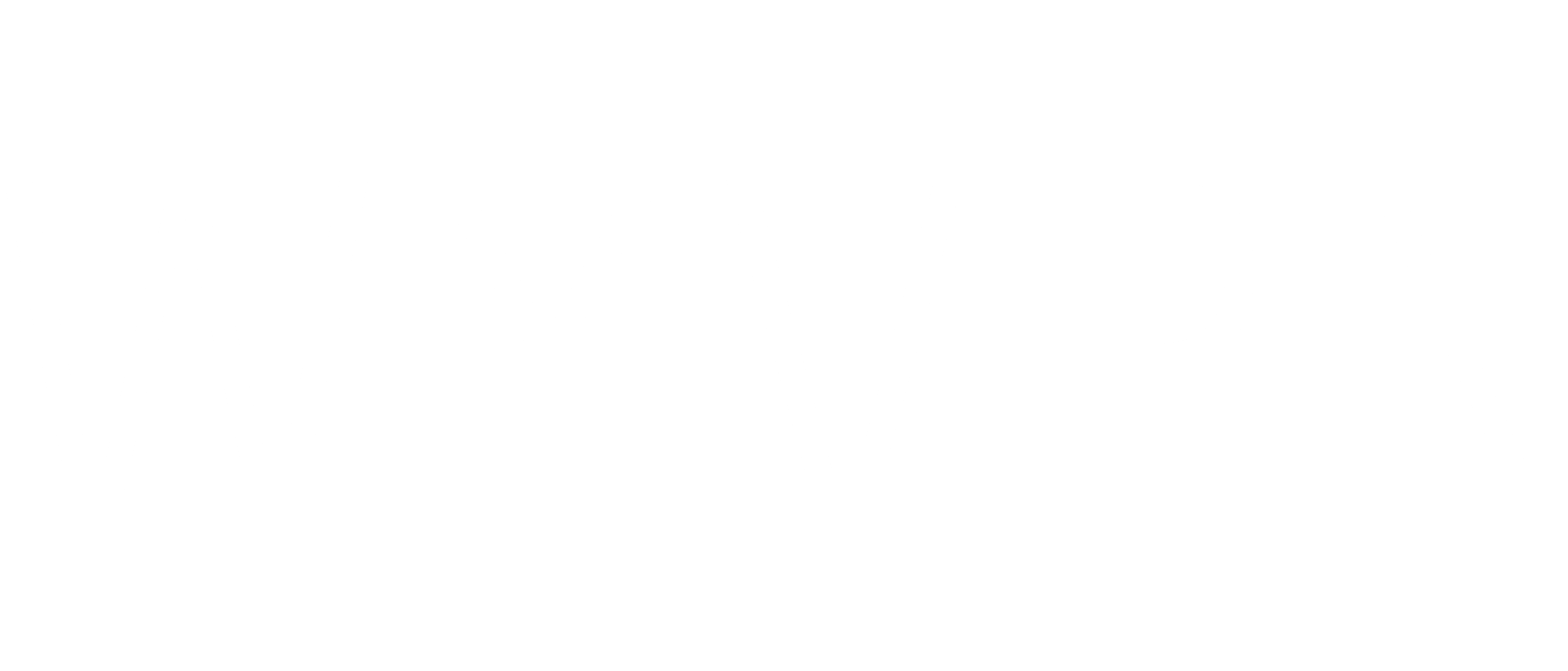 WYVRN_LOGO_RGB_WHITE